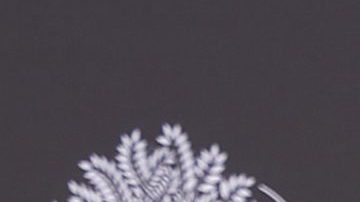 Miguel Bosé, cantante español