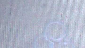 Julián Figueroa y Maribel Guardia.