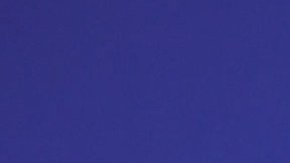 Karina Banda, presentadora mexicana de televisión.