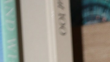 Ninel Conde, actriz mexicana.