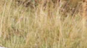 Raúl de Molina, presentador de 'El Gordo y la Flaca'.