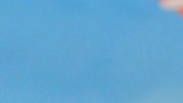 Adamari y Toni comparten junto a su hija Alaïa una nueva aventura