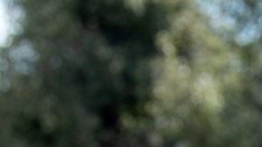 Emilio Osorio protagonizó un controversial momento en un encuentro con los reporteros