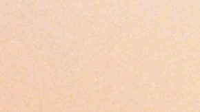 Despierta América celebra su tercer Emmy