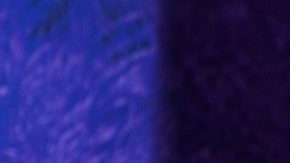 Dayana Torres agradece a Dios porque su familia está bien