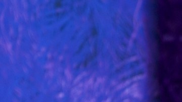 Alejandra Espinoza vivió un romántico momento con su esposo en su aniversario