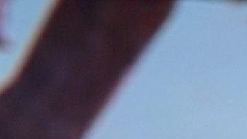 ¿Por qué Alan Tacher está ausente de 'Despierta América? Te contamos