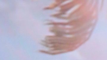 Francisca está feliz mientras su embarazo avanza