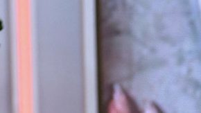 Alicia Machado en Despierta América.