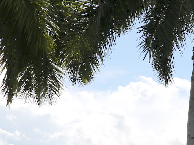 'El Gordo y La Flaca’