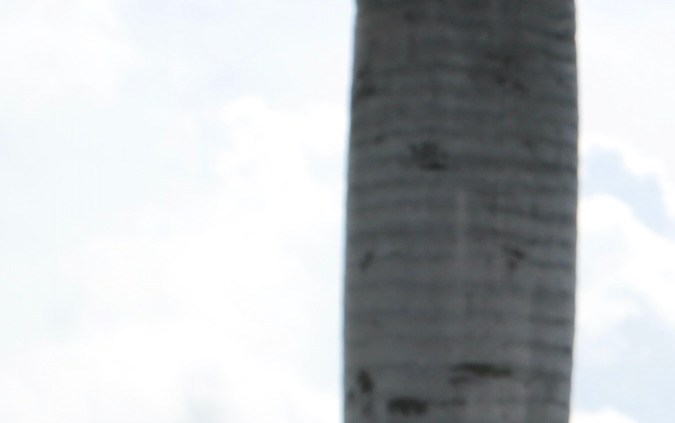 'El Gordo y La Flaca’