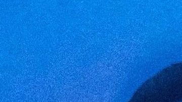 Yailin La Más Viral y Tekashi 6ix9ine se muestran durmiendo juntos. Foto: Instagram