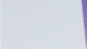 Alexa Dellanos, modelo estadounidense.