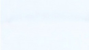 Alicia Machado, actriz venezolana.