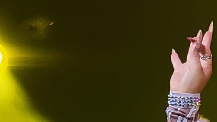 Chiquis Rivera, cantante mexicana.