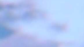 Francisca, presentadora de 'Despierta América'.