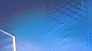 Galilea Montijo, presentadora mexicana de televisión.