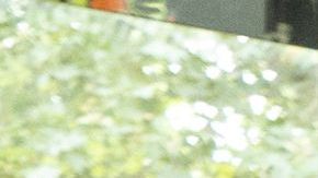 Meghan Markle y príncipe Harry fueron captados bailando muy felices en concierto de Beyoncé