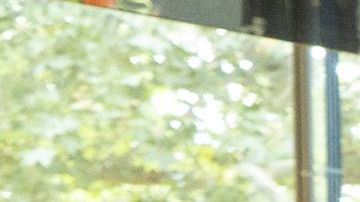 Meghan Markle y príncipe Harry fueron captados bailando muy felices en concierto de Beyoncé