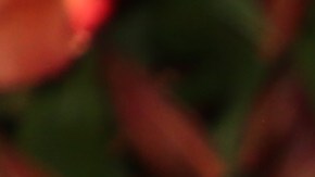 Clarissa Molina protagonizó la portada de la revista 'Pump'