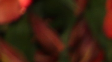 Clarissa Molina protagonizó la portada de la revista 'Pump'