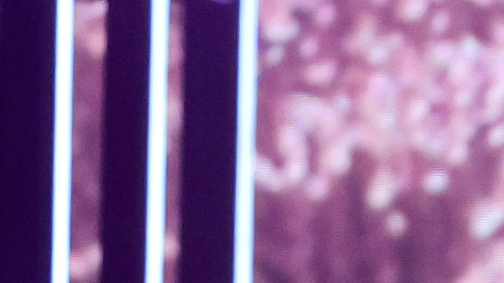 Conoce todos los detalles para ver los Premios Billboard latinos 2023