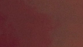 Miss USA 2023 es de raíces venezolanas