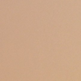 El Gordo y La Flaca, conducido por Lili Estefan y Raúl de Molina, celebra un año más al aire