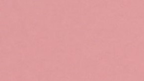 Lourdes León asistió al Victoria's Secret World Tour en Nueva York