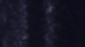 Shakira disfrutó con un guapo joven del concierto de Alejandro Sanz