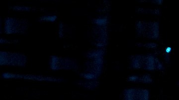 Shakira dejó a todos impresionados con su presentación en los VMAs 2023 después de 17 años de ausencia