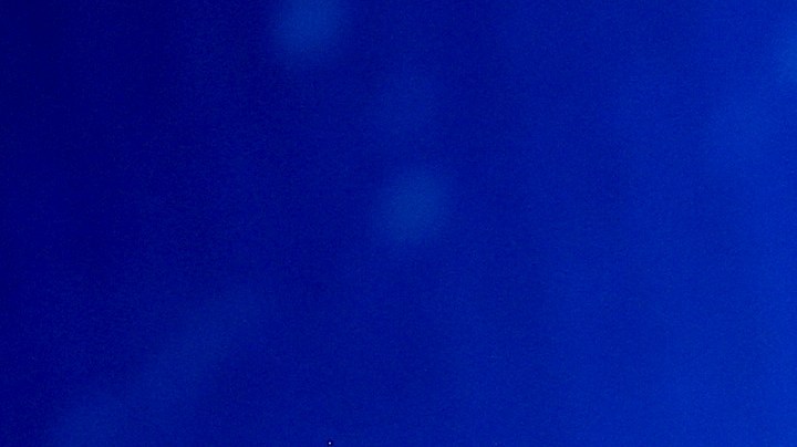 Shakira se emociona por una buena noticia en su carrera