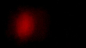 Shakira ofreció un show y recibió el Video Vanguard de los MTV VMAs 2023