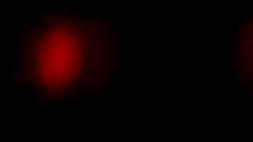 Shakira ofreció un show y recibió el Video Vanguard de los MTV VMAs 2023