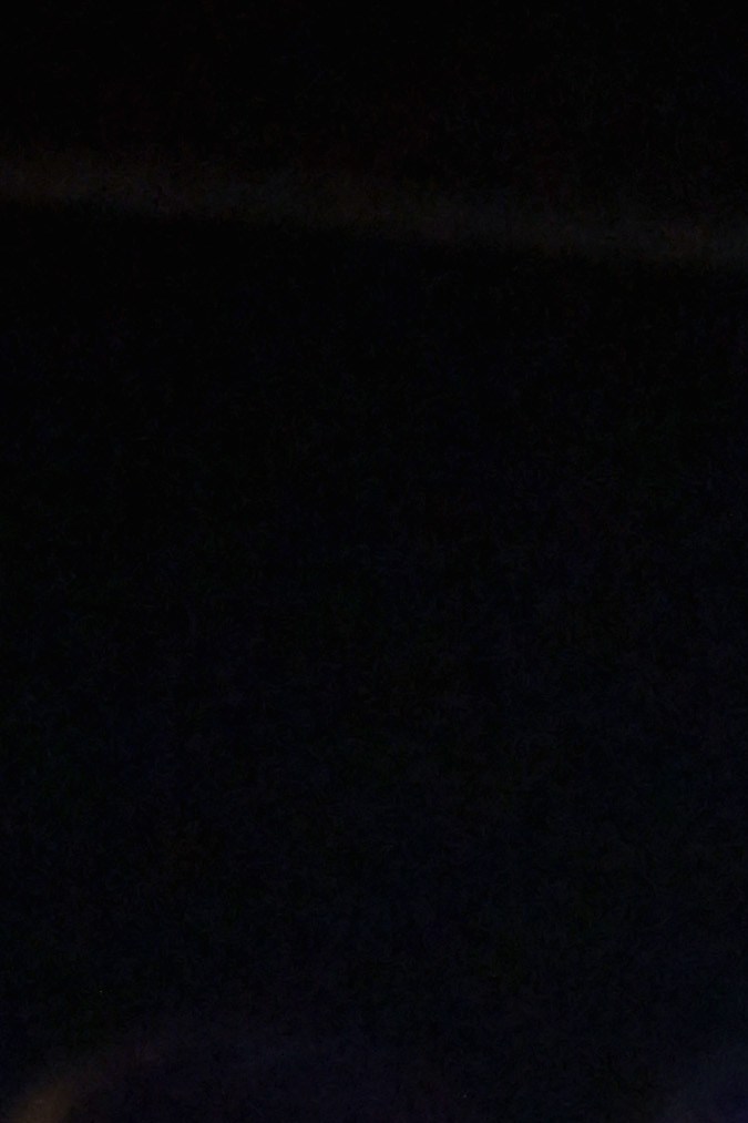 Taylor Swift fue la estrella de los MTV VMAs 2023