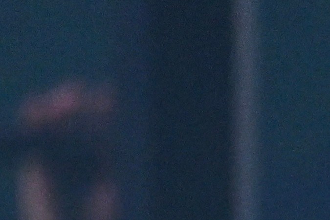 Maluma desató la duda entre sus seguidores