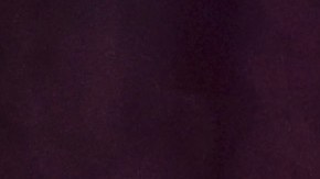 Shakira sumó otro éxito en su carrera