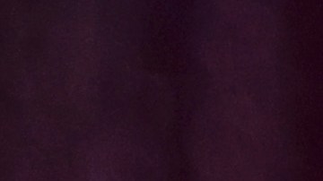 Shakira sumó otro éxito en su carrera