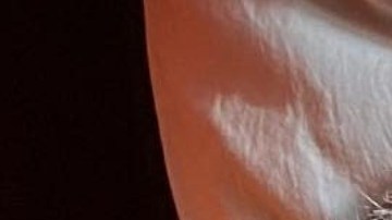 Héctor Sandarti, presentador guatemalteco de televisión. Foto: Instagram Héctor Sandarti.