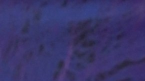 Lili Estefan, presentadora de 'El Gordo y la Flaca'.