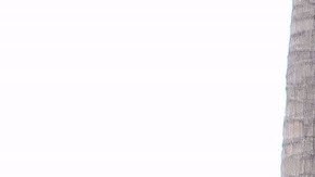 Nadia Ferreira y Marc Anthony.