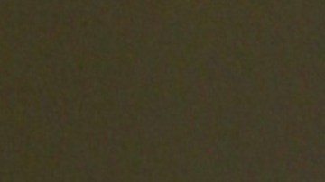 Ninel Conde, actriz mexicana.