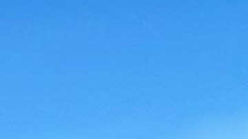 Rafael Nieves, actor mexicano.