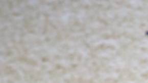 El nuevo programa de Univision se transmitirá a través de ViX