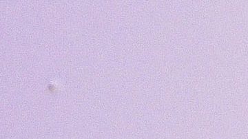 Elizabeth Gutiérrez.