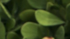 Clarissa Molina deslumbró con su belleza las calles de Sevilla