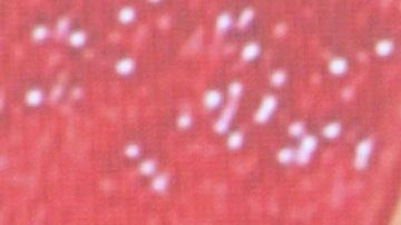 Ana Barbara lo contó todo sobre su esposo