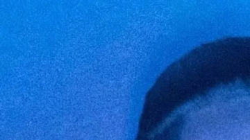 Yailin La Más Viral y Tekashi 6ix9ine acusados de mala pagas