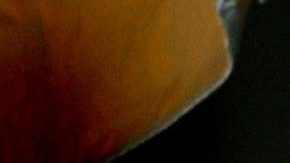 Laura Bozzo se emocionó al enterarse que fue mencionada en la canción de Bad Bunny