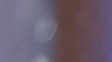 Actores que han participado en 'Caso Cerrado'